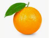Апельсин - курсы английского языка